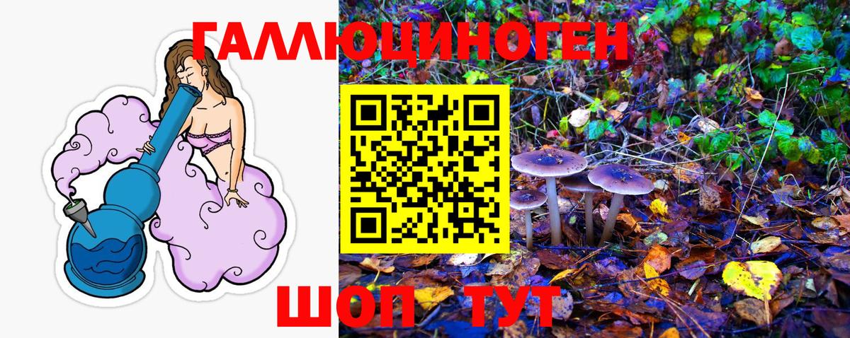 Псилоцибиновые грибы GOLDEN TEACHER Тулун